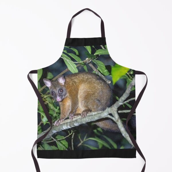 Item preview, Queensland Brushtail possum designed and sold by Ozjanette90.
