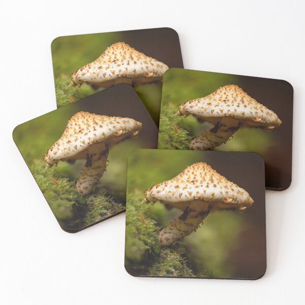 Item preview, Scaly pholiota mushroom designed and sold by millivedder.