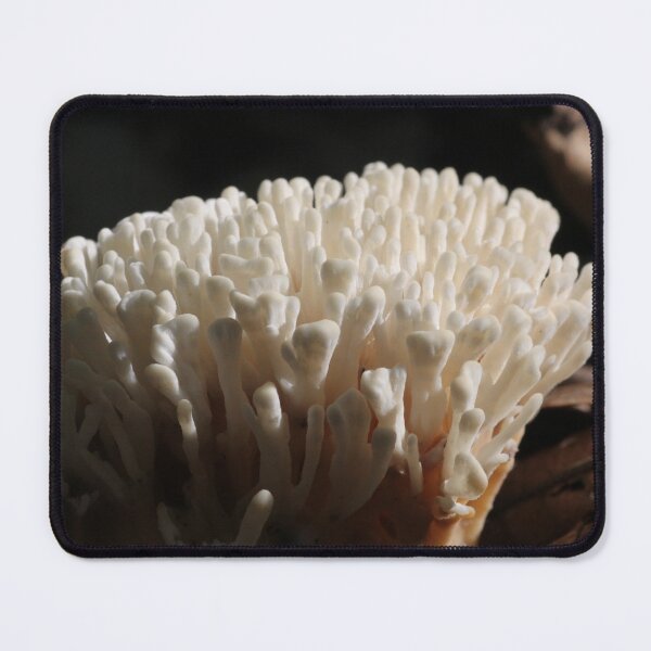 Item preview, Coral Mushroom designed and sold by WolfNoodles.