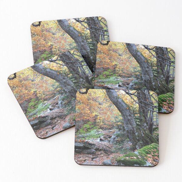 Item preview, Bosque de hayas designed and sold by Iran78.