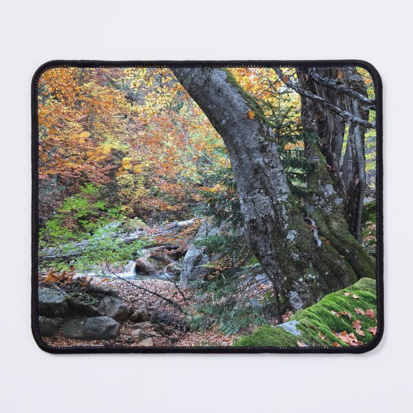 Item preview, Bosque de hayas designed and sold by Iran78.