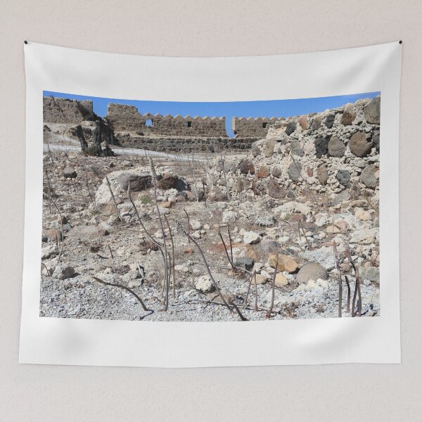 Item preview, Rocky dry land with plants designed and sold by zumi.