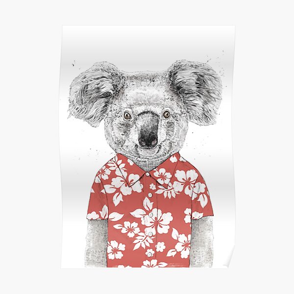 Summer koala Poster