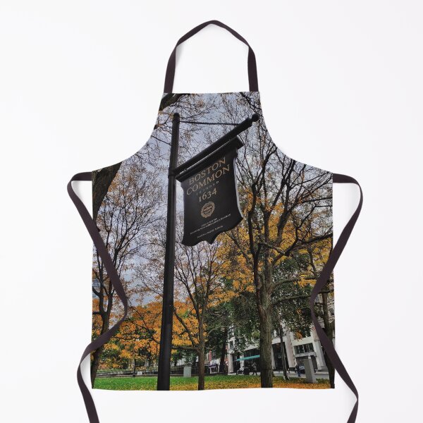 Item preview, Boston Common Sign designed and sold by Mel Moreno.