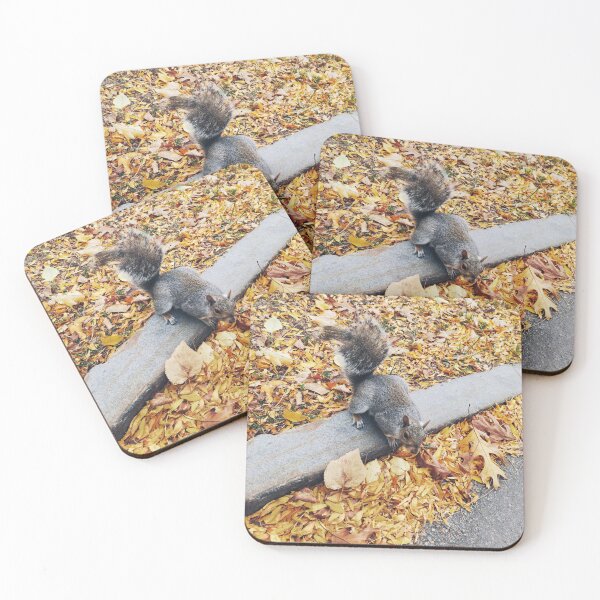 Item preview, Squirrel at Boston Common designed and sold by Mel Moreno.