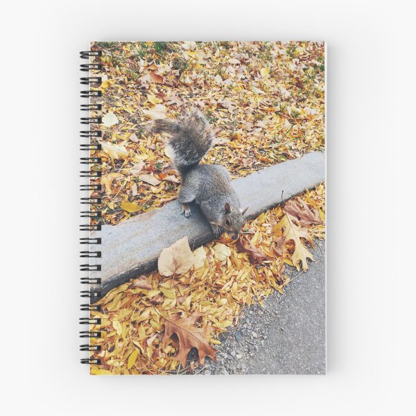 Item preview, Squirrel at Boston Common designed and sold by Mel Moreno.