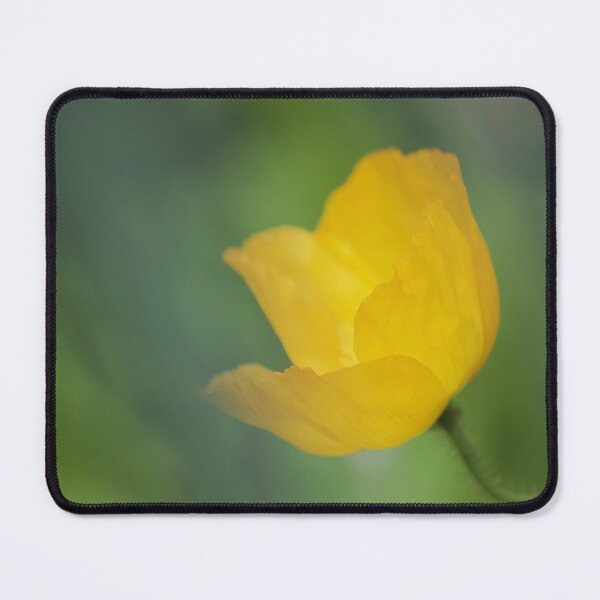 Item preview, Poppy designed and sold by Kim Chi Thai.