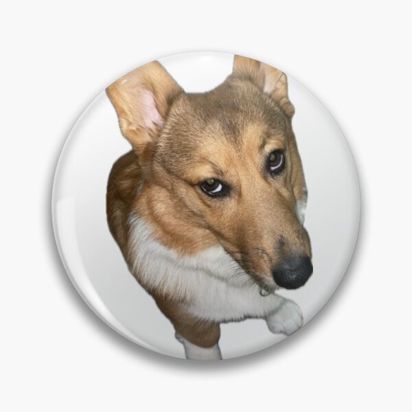 Item preview, Judging corgi  designed and sold by infinityangel.