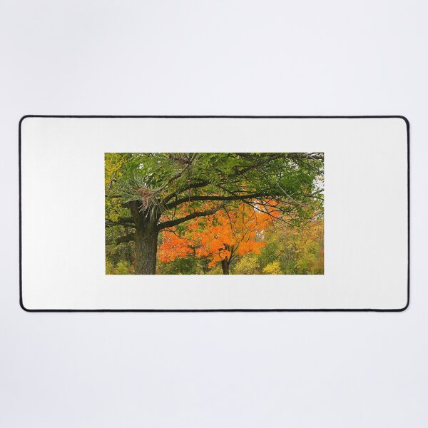 Item preview, Arm Out Against the Brightness designed and sold by fototaker Tony.