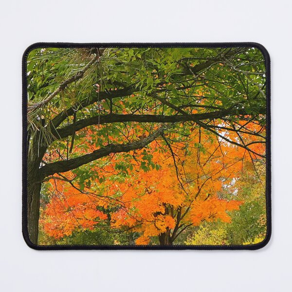 Item preview, Arm Out Against the Brightness designed and sold by fototaker Tony.