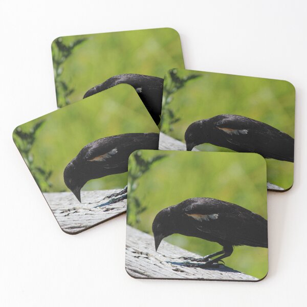 Item preview, Bird pecking at its lunch designed and sold by lpphotographe.