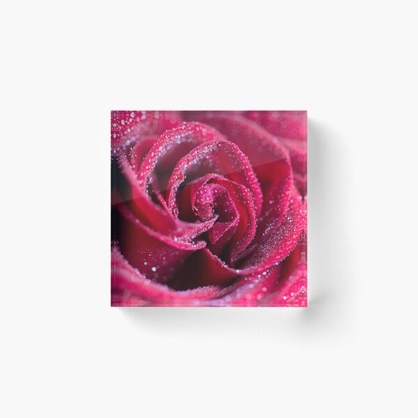 Item preview, Mildew Rose designed and sold by Goodbuy2U.