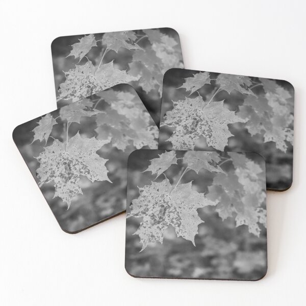 Item preview, When the fall comes bw designed and sold by Jouko Lehto Photography.