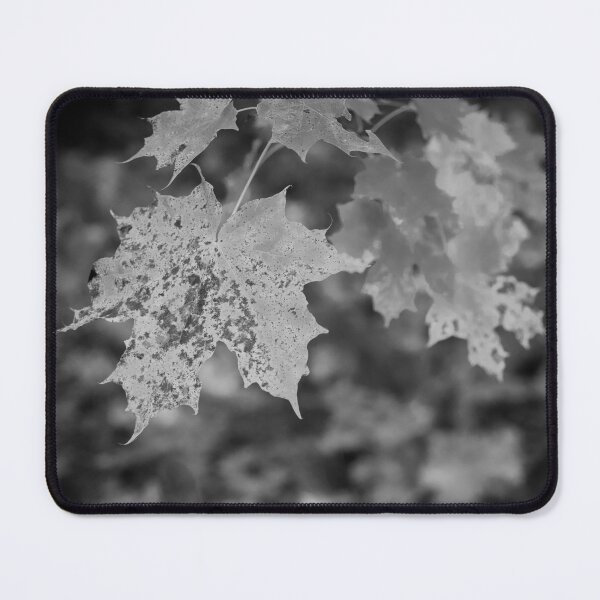 Item preview, When the fall comes bw designed and sold by Jouko Lehto Photography.