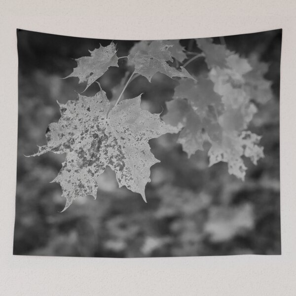 Item preview, When the fall comes bw designed and sold by Jouko Lehto Photography.