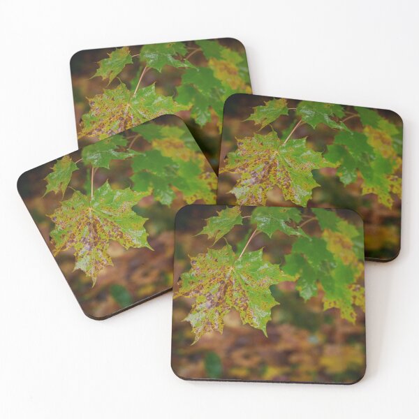 Item preview, When the fall comes designed and sold by Jouko Lehto Photography.