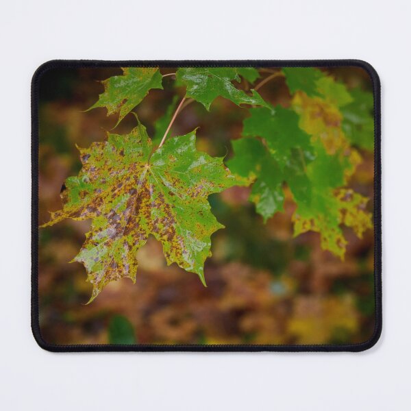 Item preview, When the fall comes designed and sold by Jouko Lehto Photography.