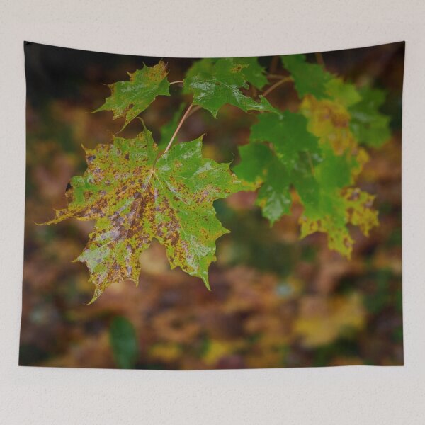 Item preview, When the fall comes designed and sold by Jouko Lehto Photography.