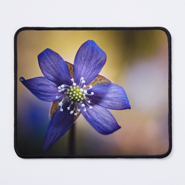 Item preview, Tiny beauty with a soft background designed and sold by occorocks.