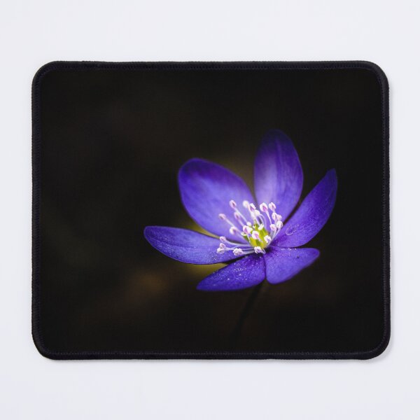 Item preview, Nature's details designed and sold by occorocks.