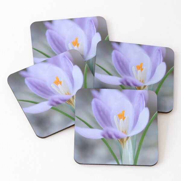 Item preview, Crocus laevigatus  'Fontenayi'  designed and sold by Chris Burrows.