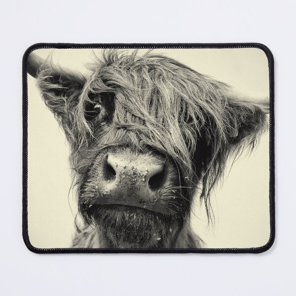 Item preview, Highland Cow designed and sold by Paul Alsop.