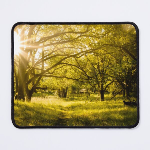 Item preview, Morning sun designed and sold by occorocks.