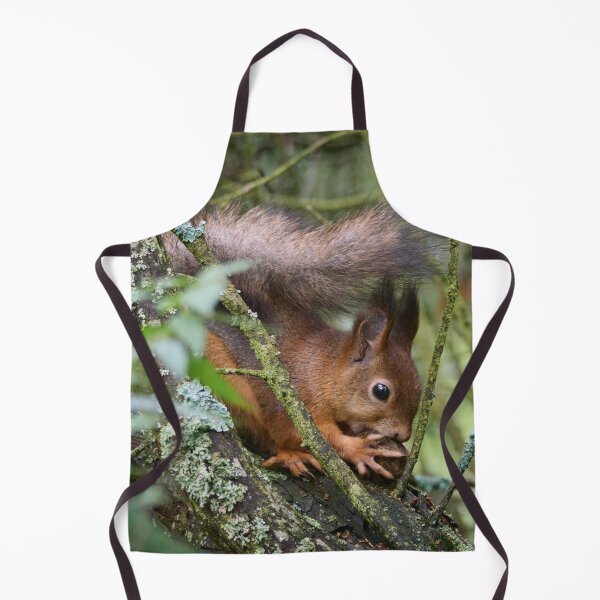 Item preview, Just going nuts. Eurasian red squirrel designed and sold by Jouko Lehto Photography.