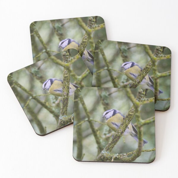 Item preview, Soft greens. Eurasian blue tit designed and sold by Jouko Lehto Photography.