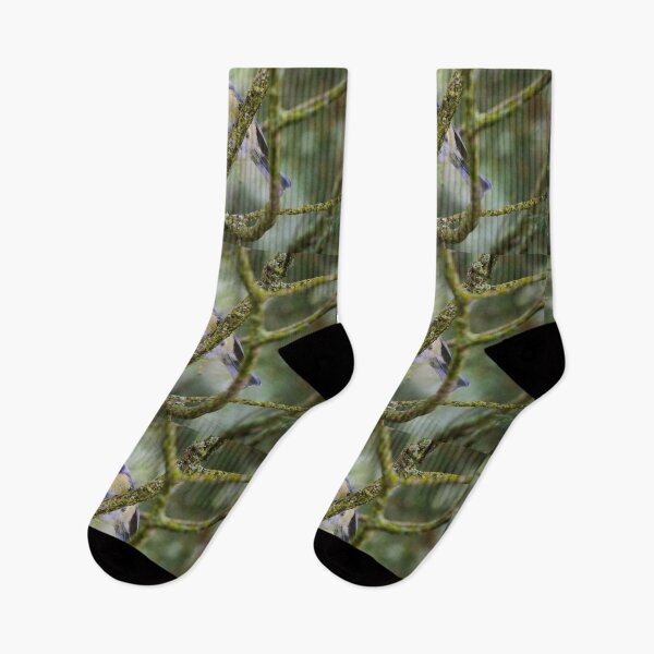 Item preview, Soft greens. Eurasian blue tit designed and sold by Jouko Lehto Photography.