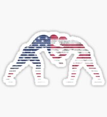 american flag wrestling Sticker