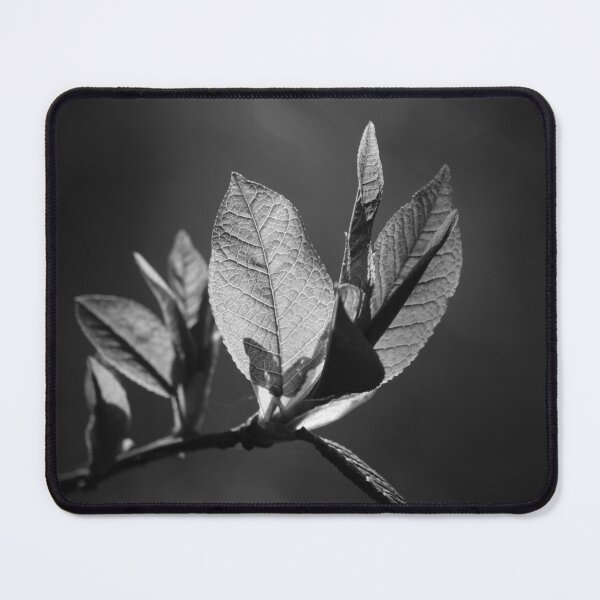 Item preview, Light & shadow designed and sold by occorocks.