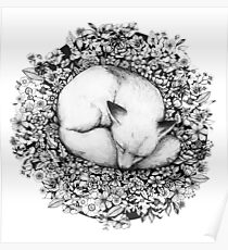 Fox Sleeping in Flowers Poster