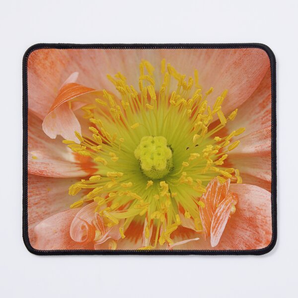 Item preview, Heart of Poppy designed and sold by Kim Chi Thai.