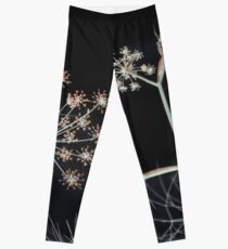 Night Whispers. Dark Floral Leggings