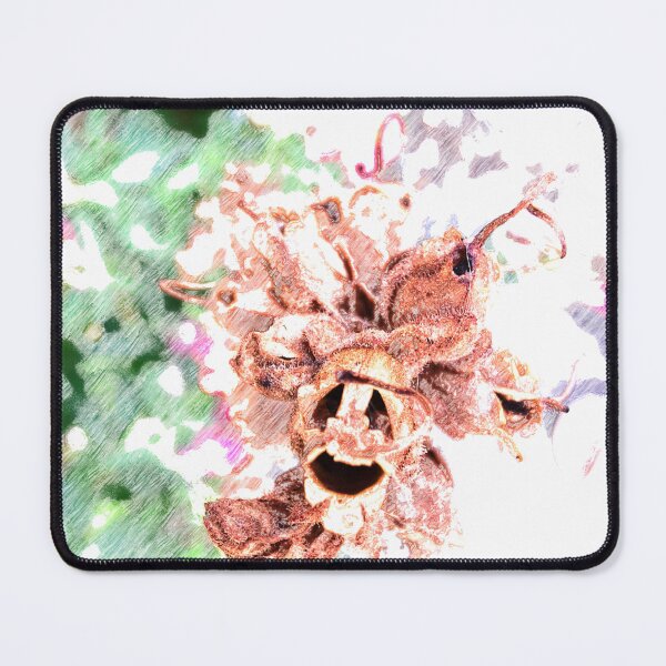 Item preview, After flowering designed and sold by Juviraga.