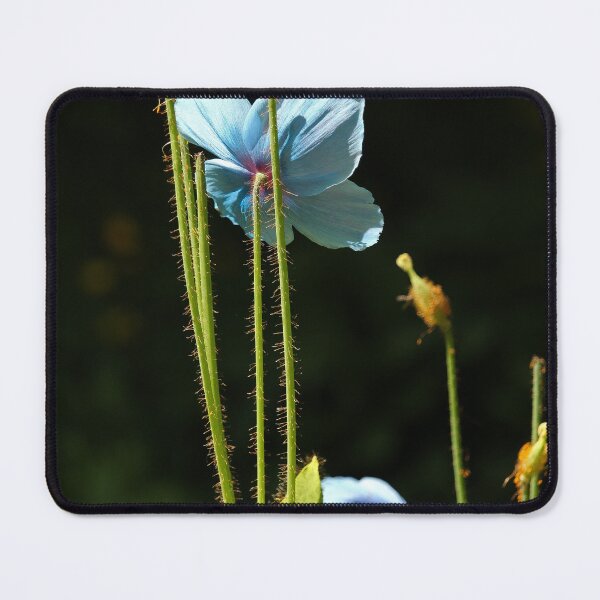 Item preview, Little Blue Flower Underside designed and sold by eddiebarronshop.