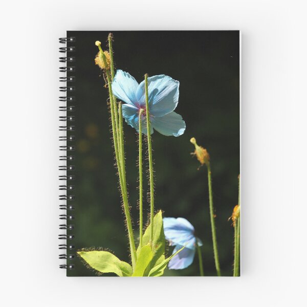 Item preview, Little Blue Flower Underside designed and sold by eddiebarronshop.