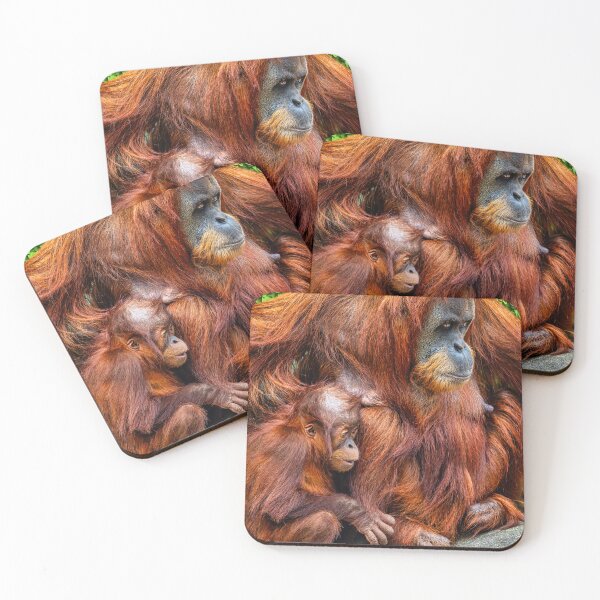 Item preview, Sumatran Orangutan Family designed and sold by AJEvans.