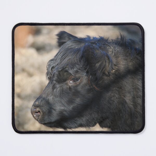 Item preview, Fluffy cow designed and sold by animal-animal.