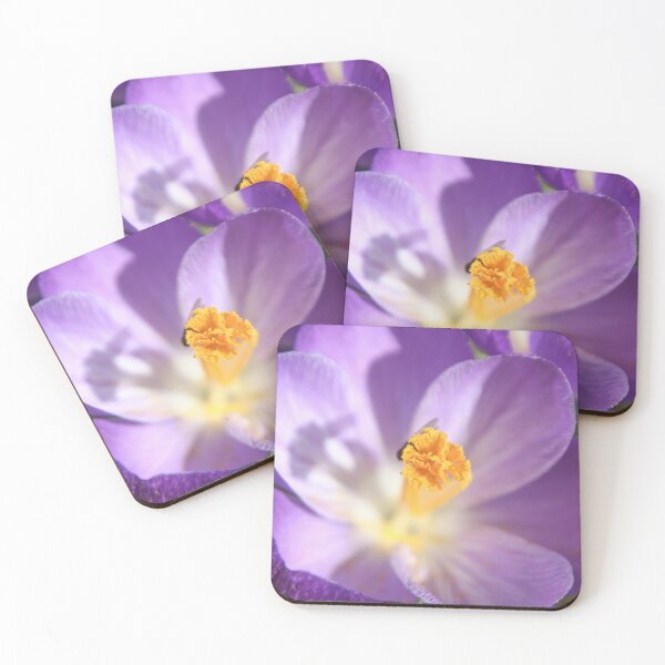 Item preview, Spring designed and sold by Calidris Fotografie Steffi & Ben Köppler.