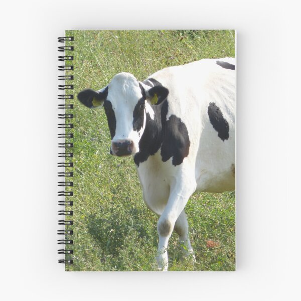 Item preview, Spotted cow designed and sold by animal-animal.