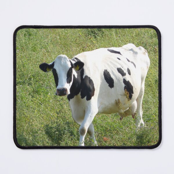 Item preview, Spotted cow designed and sold by animal-animal.