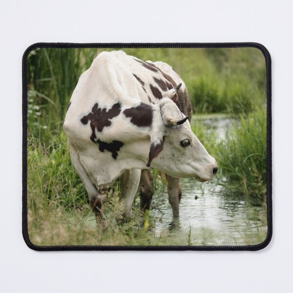 Item preview, Spotted cow designed and sold by animal-animal.