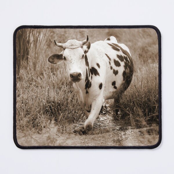 Item preview, Spotted cow designed and sold by animal-animal.
