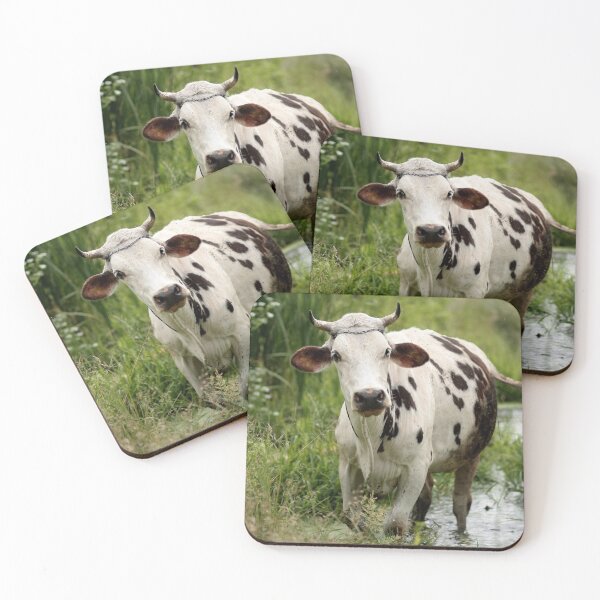 Item preview, Spotted cow designed and sold by animal-animal.