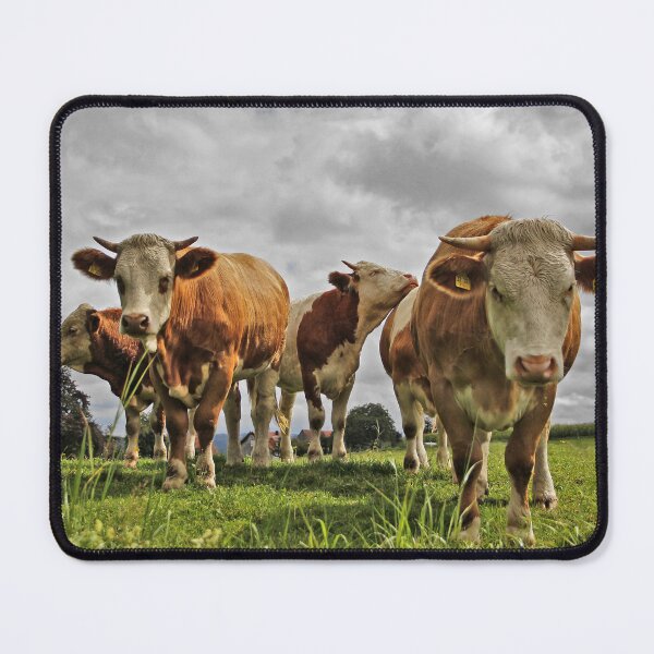 Item preview, Spotted cow designed and sold by animal-animal.