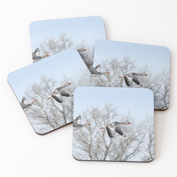 Item preview, Greylag Geese flying designed and sold by Calidris Fotografie Steffi & Ben Köppler.