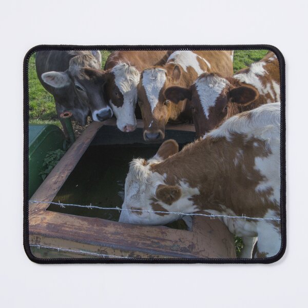 Item preview, Spotted cow designed and sold by animal-animal.