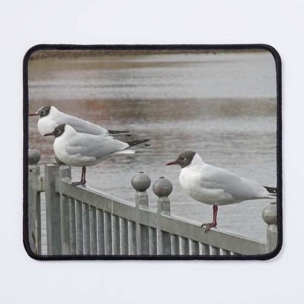 Item preview, Have a break... designed and sold by Calidris Fotografie Steffi & Ben Köppler.
